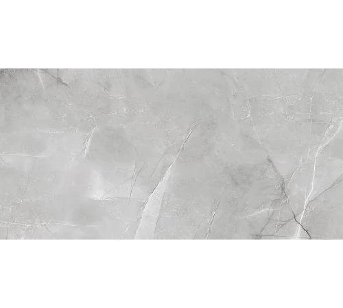 Керамогранит ABSOLUT GRES Armani Silver 1200x600 gloss