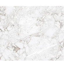 Керамогранит ABSOLUT GRES Rossalia Natural 600x600 gloss