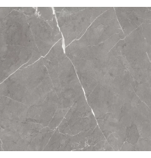 Керамогранит GLOBAL TILE Encanto серый 60*60 арт.GT60603001MCR