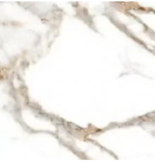 Керамогранит ABSOLUT GRES Oro Bianco 600x600 gloss