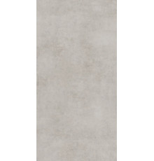 Керамогранит GLOBAL TILE Stardust св.серый 60*120 арт.GT120600506MCR