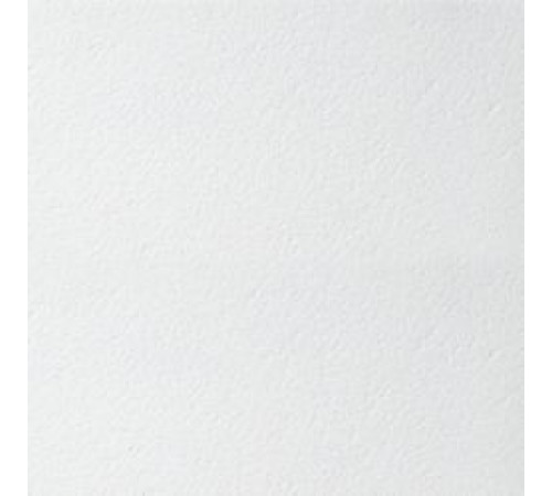 Плита потолочная ARMSTRONG Bioguard Plain Board 600х600х15 мм белый