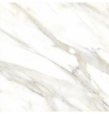 Керамогранит ABSOLUT GRES Gold Satuario 600x600 gloss