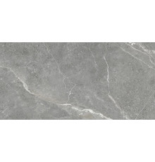 Керамогранит Artkera Group Tiitanium Gris 600*1200 арт.GP60120TIA05M