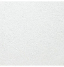 Плита потолочная ARMSTRONG Plain Board 1200х600х15 мм белый 9588М