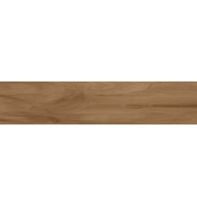Керамогранит AlmaCeramica Ashton 200*900 арт. GFA92ATN44R